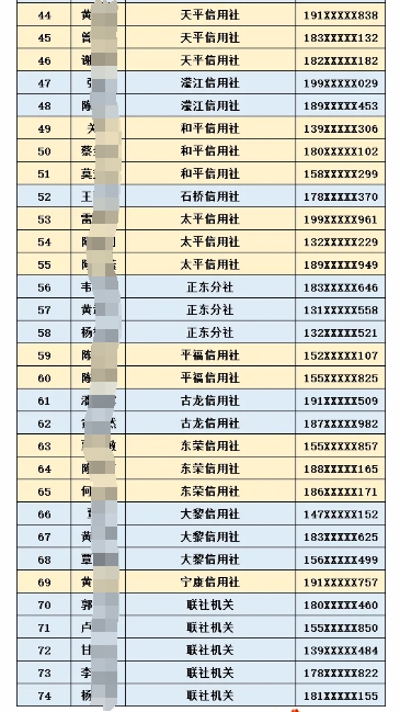 2025年藤县农信社寒假社会实践生名单公布