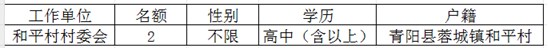 选聘计划表