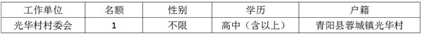 选聘计划表